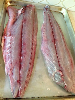 Fresh whole Stripped Bass Filet from Long Island - a present from our fishing neighbor John