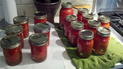 Preserving the Summer - Trying to hold on to that great tomato taste by canning summer tomatoes to use throughout the winter  